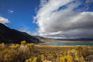 Mono Lake-0460